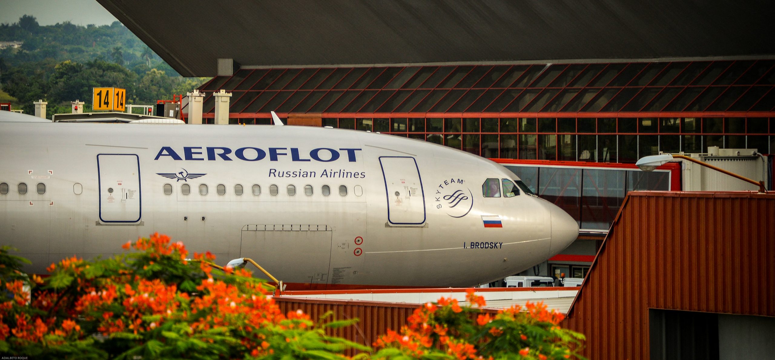 Aerol Nea Rusa Aeroflot Suspende Todos Sus Vuelos A Europa En