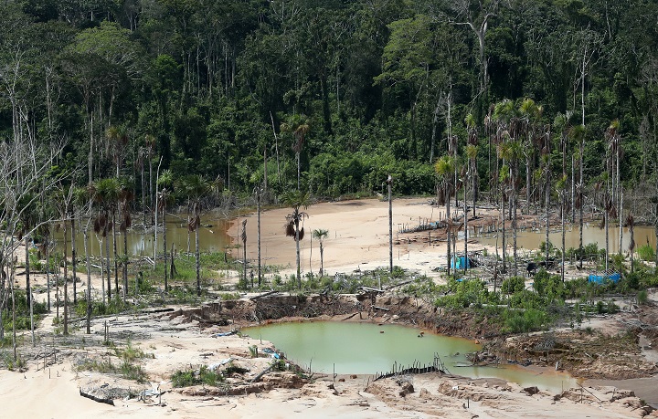 La Amazonía podría convertirse en una sabana en 50 años, según estudio