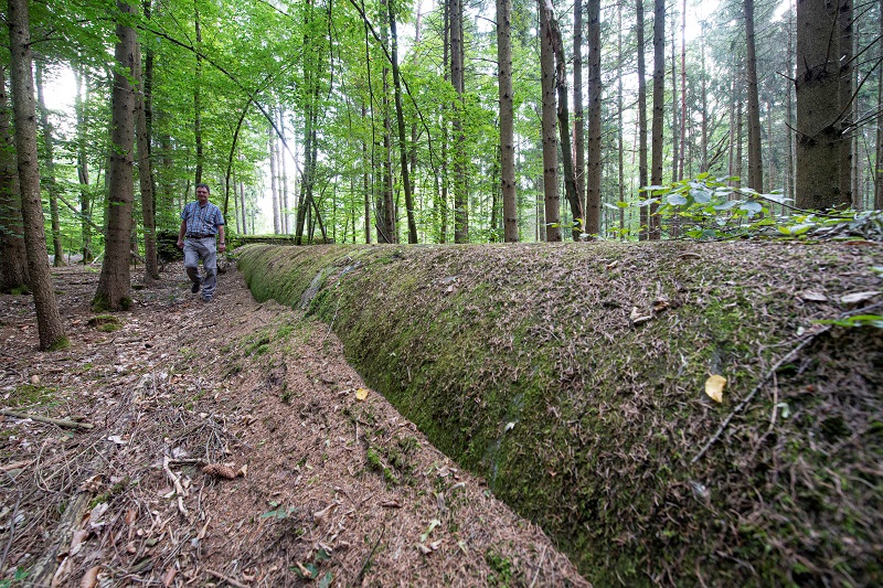 La "carretera 46", una autopista de la época nazi, es rescatada del olvido en Alemania