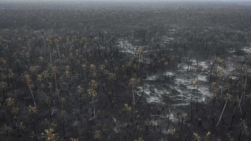 Bolsonaro decreta suspensión de quemas para frenar incendios amazónicos