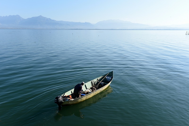 El mayor lago de los Balcanes se queda sin peces