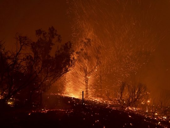 Turistas y habitantes huyen de los incendios forestales en Grecia