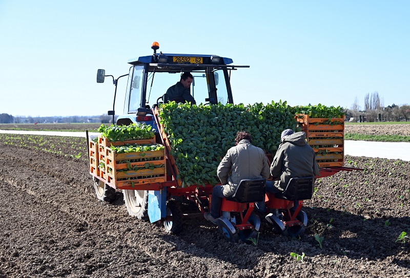 Francia insta a desempleados a ir al campo a ayudar a los agricultores