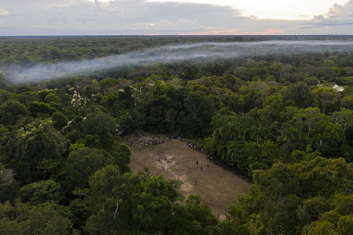 El drama del coronavirus hace menos audibles las motosierras de la Amazonía