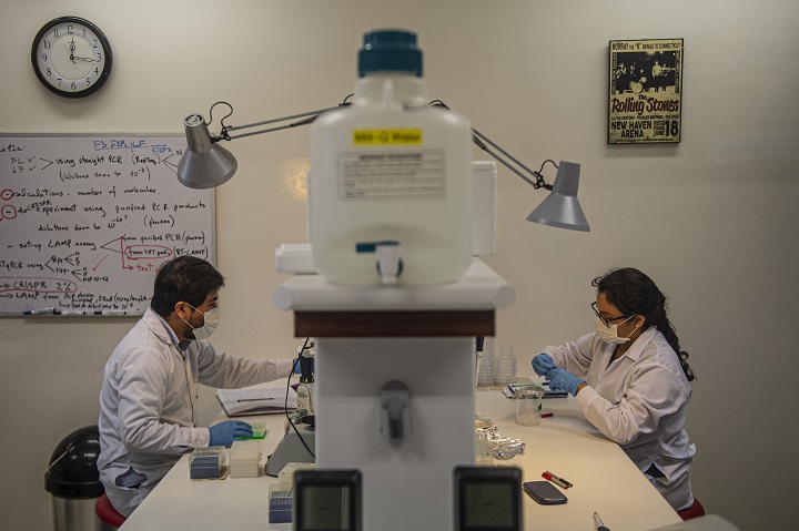 Científicos peruanos buscan producir en masa un test rápido de Covid-19