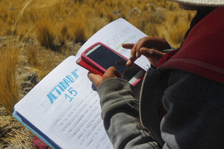 Bolivia da por terminado el año escolar por limitaciones en educación virtual