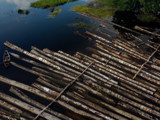 Deforestación en la Amazonía brasileña supera los 1.600 km2 en julio