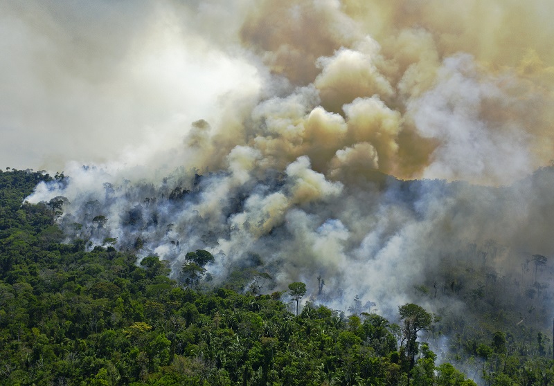 Deforestación en Amazonía brasileña registra segundo peor mes de mayo desde 2016