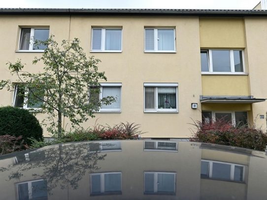 Una mujer es detenida en Viena tras confesar que asesinó a sus tres hijas
