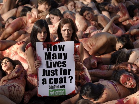 Activistas protestan desnudos en Barcelona contras las prendas de piel