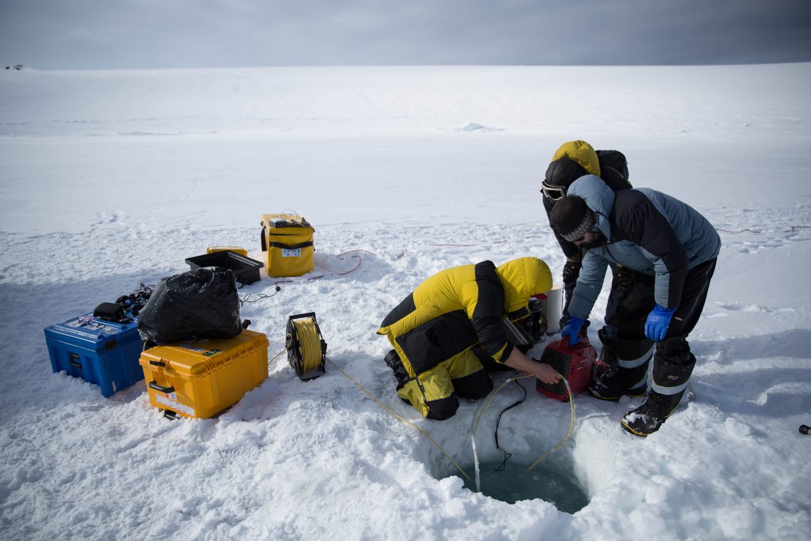 Un robot graba la vida bajo el hielo en la Antártida