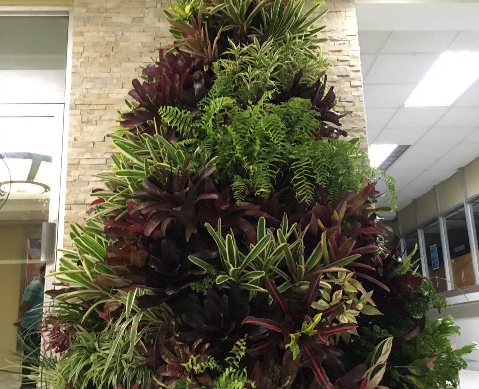 La Universidad de Panamá estrena árbol de Navidad ecológico