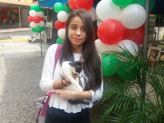 Universidad de Panamá inicia campaña "Adopta tu gato"