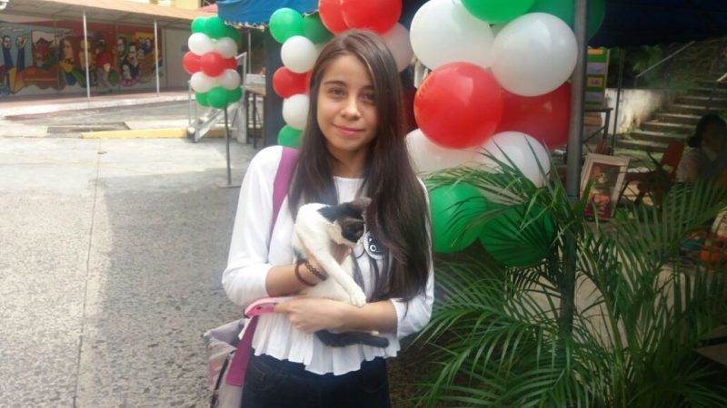 Universidad de Panamá inicia campaña "Adopta tu gato"