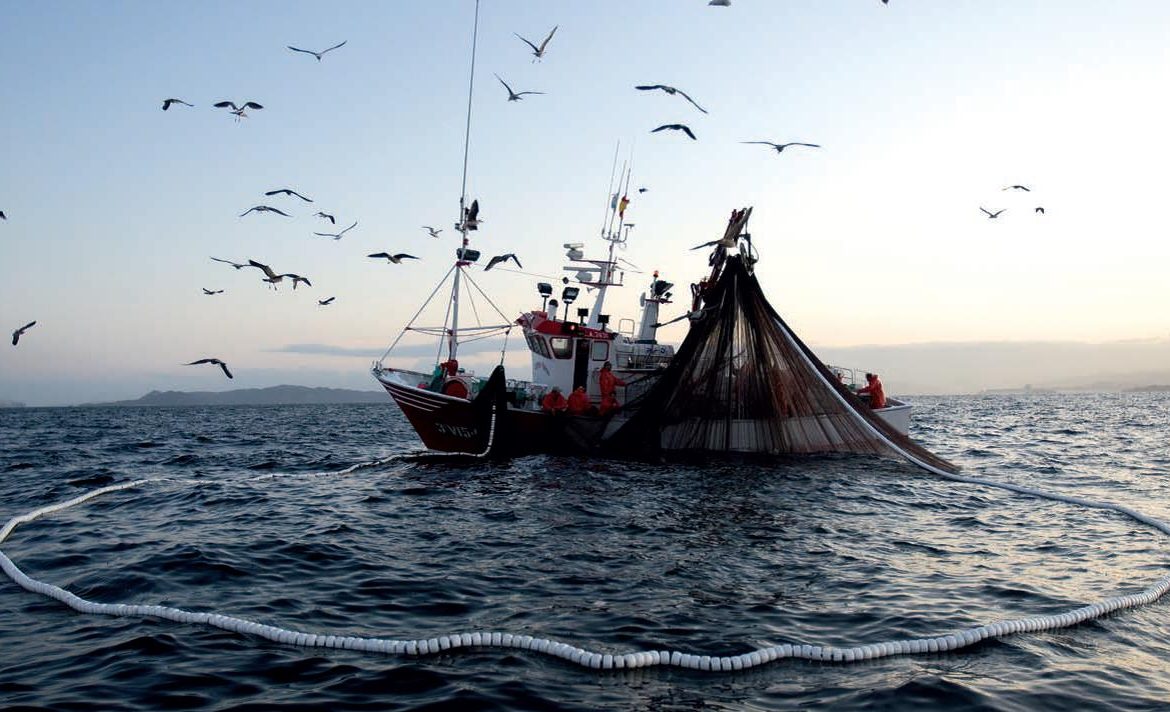 Unión Europea aprobó las cuotas de pesca en el Atlántico y el mar del Norte para 2017