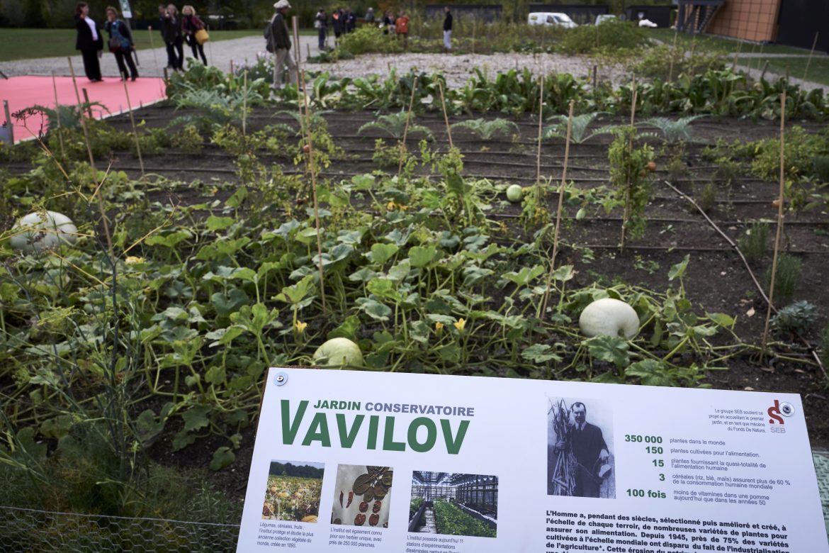 El instituto Vavilov, guardián mundial de las plantas perdidas