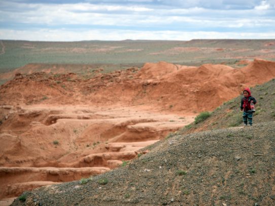 Mongolia intenta recuperar restos de dinosaurios traficados