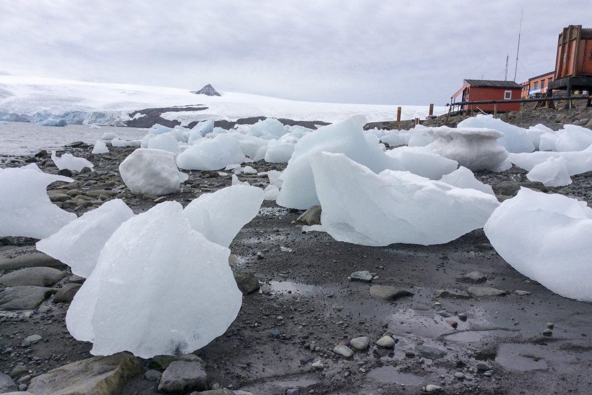 Cambio Climático se hace sentir en la Antartida