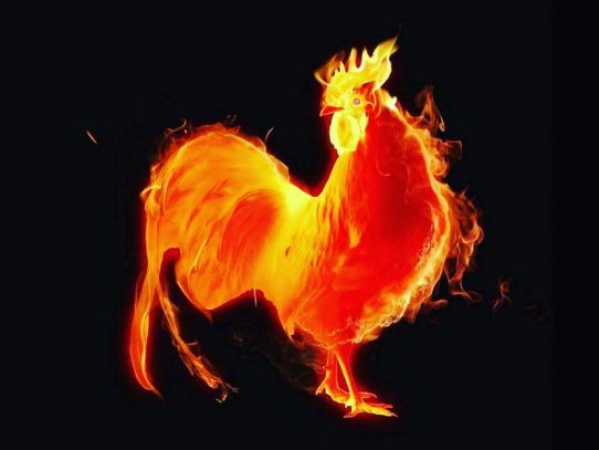 Comunidad china en Panamá inicia celebración del año del gallo de fuego