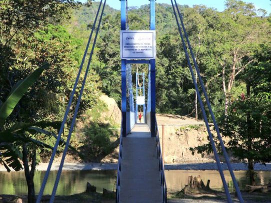 Construirán 100 puentes zarzos para evitar más víctimas en comarcas
