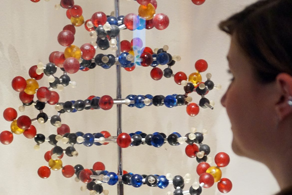 Científicos contemplan la posibilidad de modificar ADN humano