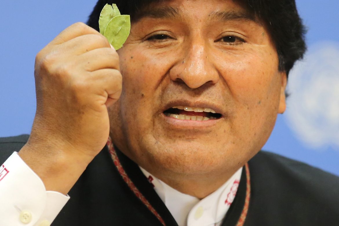 Presidente de Bolivia, Evo Morales, busca legalizar consumo de coca en el mundo