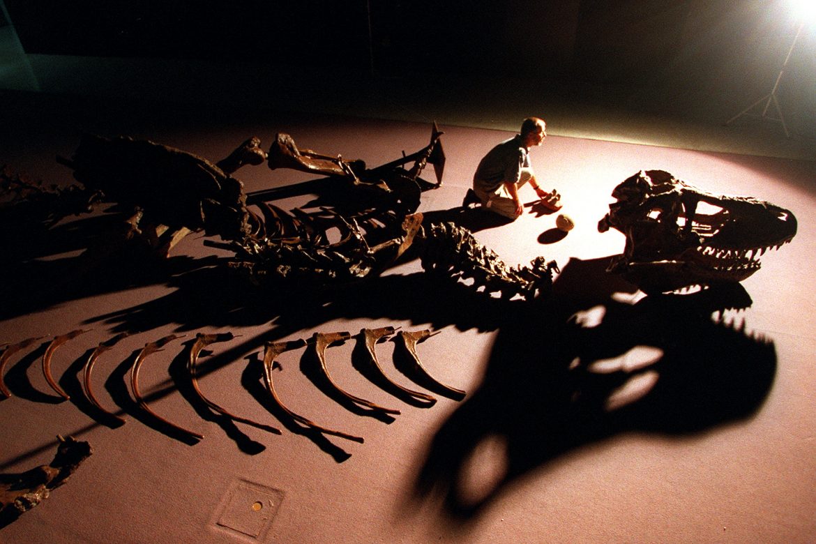 Halladas 21 tipos de huellas de dinosaurio en el "Jurassic Park" australiano