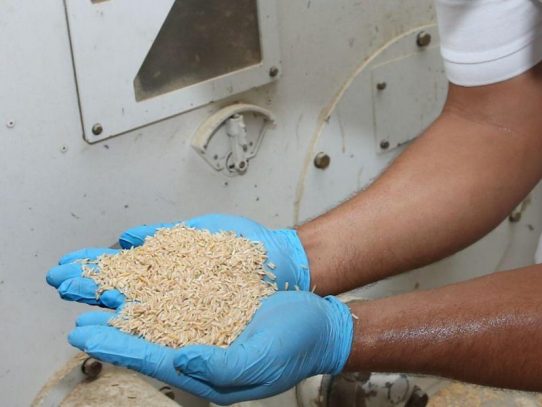 Tras auditoría, Aupsa inhabilita registros sanitarios de arroz importado