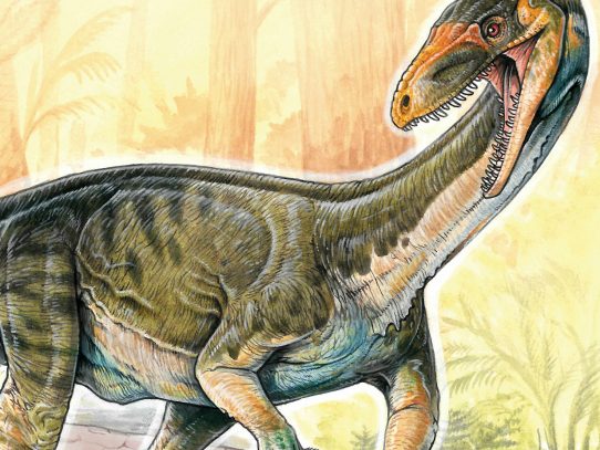 Ancestros de dinosaurios se parecían poco a las especies conocidas
