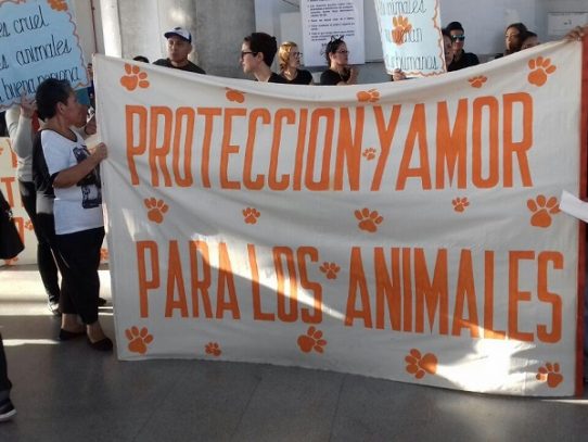 Activistas se manifestaron en contra del maltrato animal