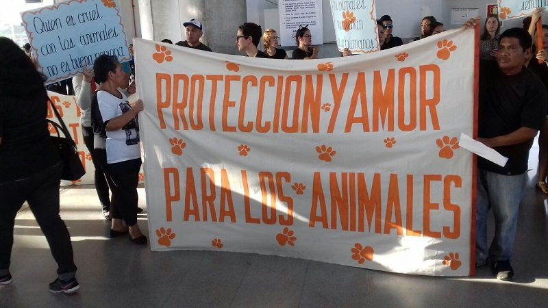 Activistas se manifestaron en contra del maltrato animal