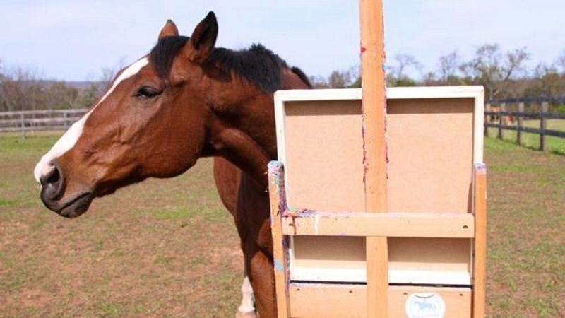 El caballo que salva su vida aprendiendo a pintar