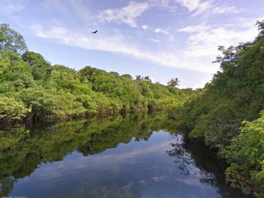 La selva amazónica brasileña podría perder a su más generoso protector, Noruega