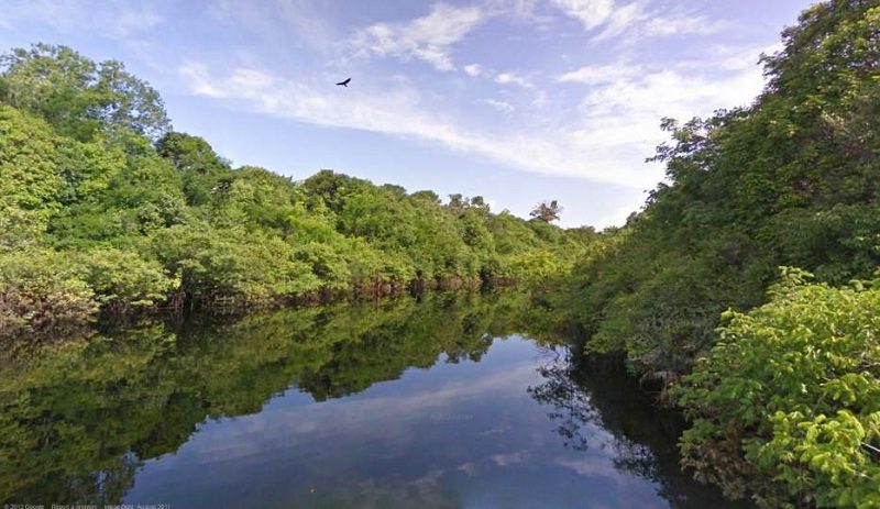 La selva amazónica brasileña podría perder a su más generoso protector, Noruega