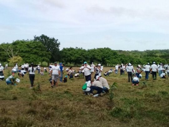 Decenas de voluntarios participan del III Gran Día Nacional de Reforestación