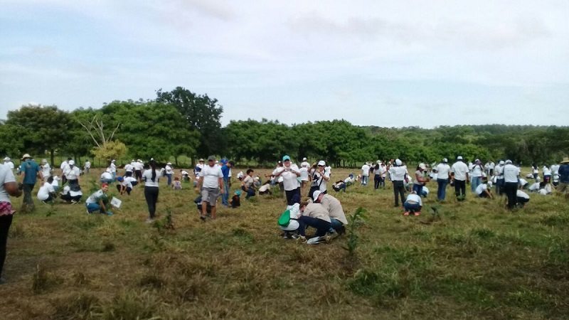 Decenas de voluntarios participan del III Gran Día Nacional de Reforestación