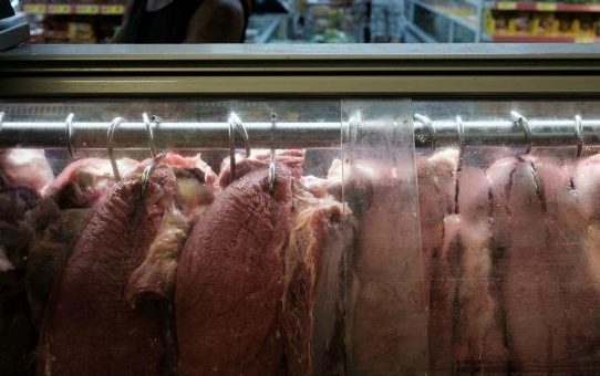 MICI ordena más controles para la comercialización de carne bovina