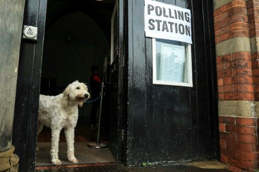 Los perros se convierten en protagonistas de jornada electoral en el Reino Unido
