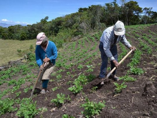 Firman un nuevo convenio para impulsar el agro en Panamá