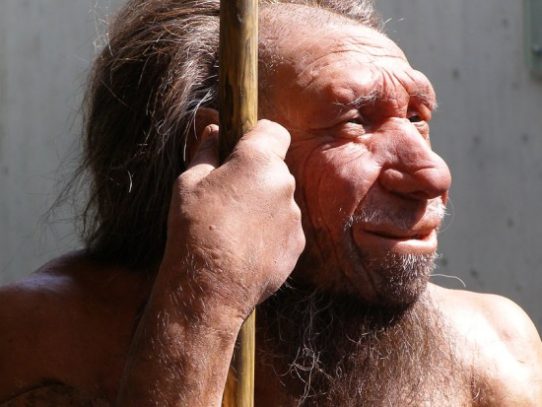 Un nuevo estudio genético reescribe la historia de los neandertales
