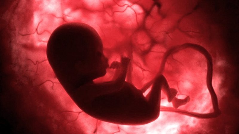 Corregida una grave enfermedad de la sangre en embriones gracias a la manipulación genética