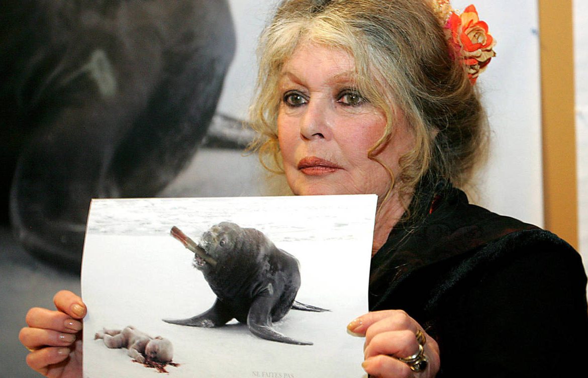Brigitte Bardot reprocha al papa una falta de misericordia hacia los animales