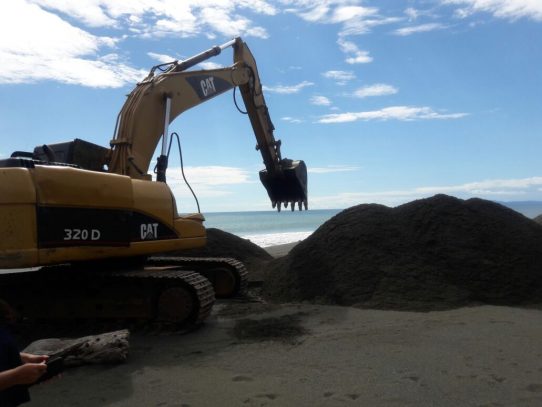 Denuncian destrucción de refugio para anidación de tortugas en  playa de Veraguas