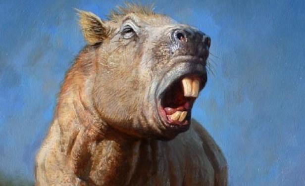 Hallan en Inglaterra dientes de "ratas" de hace 145 millones de años