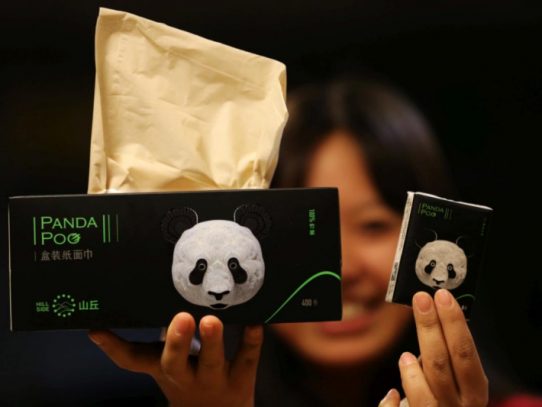 Empresa china transforma la caca de panda en pañuelos de papel