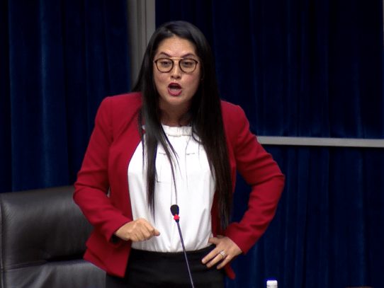 Zulay propone proyecto de ley que llevaría a Martinelli a la Asamblea