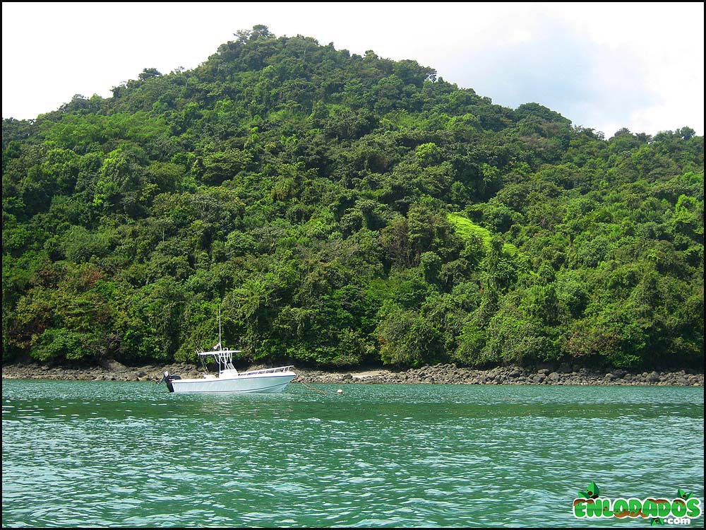 CIAM  interpone amparo de garantías contra proyecto en Isla Coiba