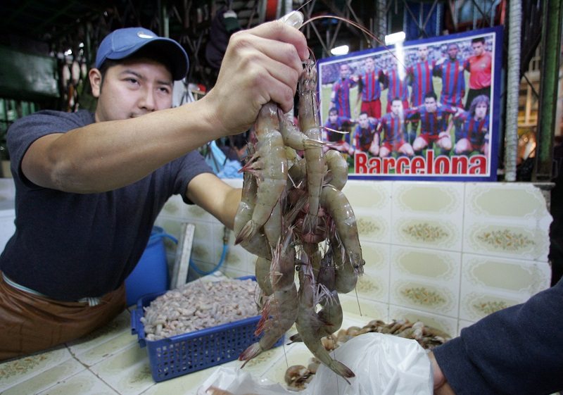 Inicia primer período de veda del camarón en Panamá