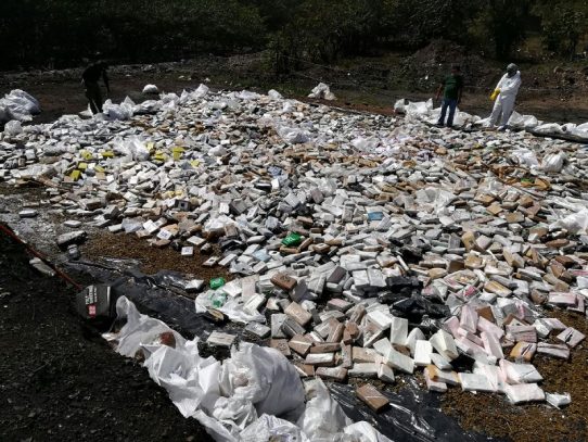 Autoridades destruyen 9.6 toneladas de droga en La Chorrera