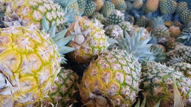 Panamá exporta piña a Dubái tras participación en feria de frutas de Berlín